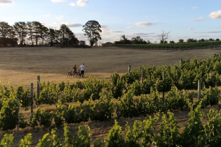  Dua orang sedang berjalan sambil memegang sepeda di sampingnya di kebun anggur Clonakilla, Murrumbateman, New South Wales © Destination NSW