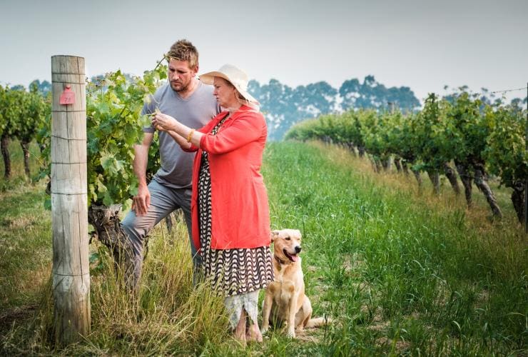 Curtis Stone, Cullen Wines, WA © Insight Photography