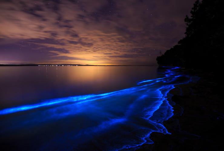 新南威爾士州（NSW）杰維斯海灣（Jervis Bay）發光藻類©Maree Clout，新南威爾士州旅遊局