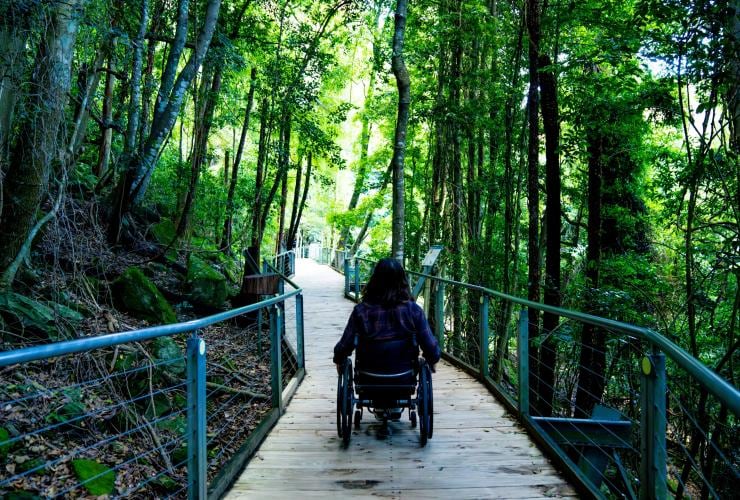 Seorang pria duduk di kursi roda mengikuti jalur di Blue Mountains, New South Wales © Tourism Australia