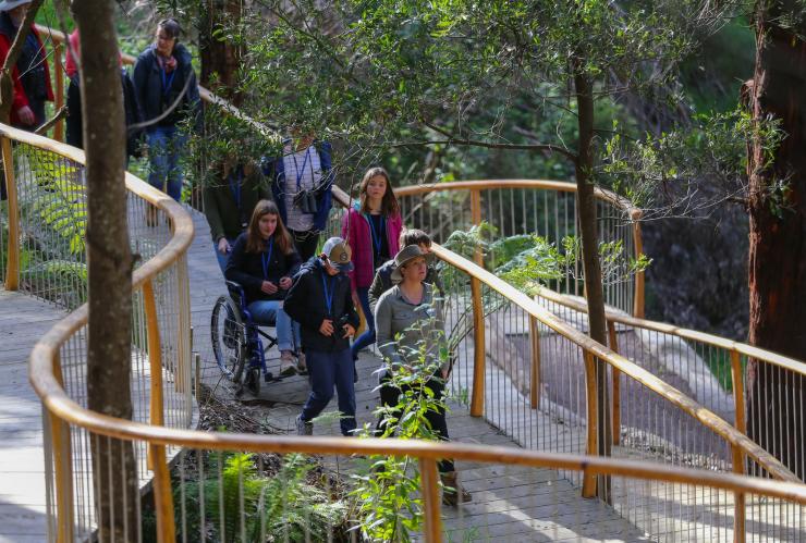 와일드라이프 원더즈의 투어를 이용해 휠체어를 탄 여성이 다른 단체 관광객들과 함께 숲 속을 이동하고 있는 모습, 그레이트 오션 로드, 빅토리아 © 와일드라이프 원더즈