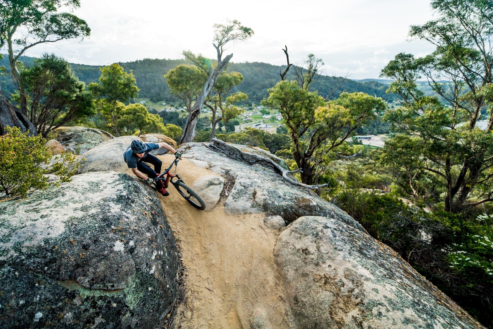 블루 더비 마운틴 바이크 트레일, 더비, 태즈메이니아 © 태즈메이니아주 관광청/레볼루션 MTB