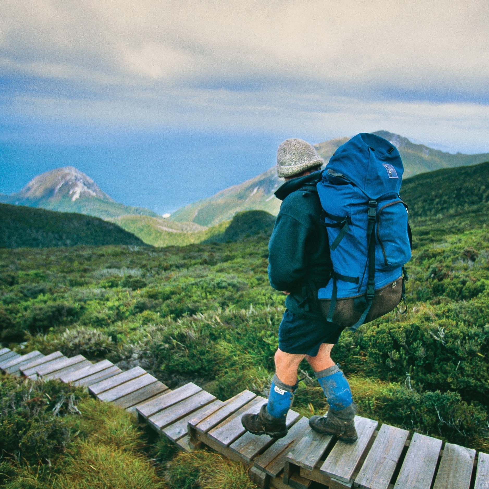 Ein Mann wandert auf dem South Coast Track im Southwest National Park © Tourism Tasmania/Don Fuchs