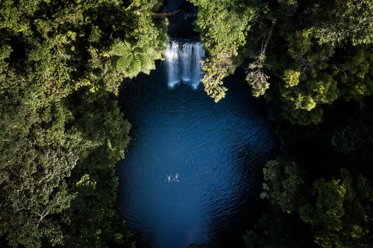 Millaa Millaa Falls, Millaa Millaa, Queensland © Tourism and Events Queensland