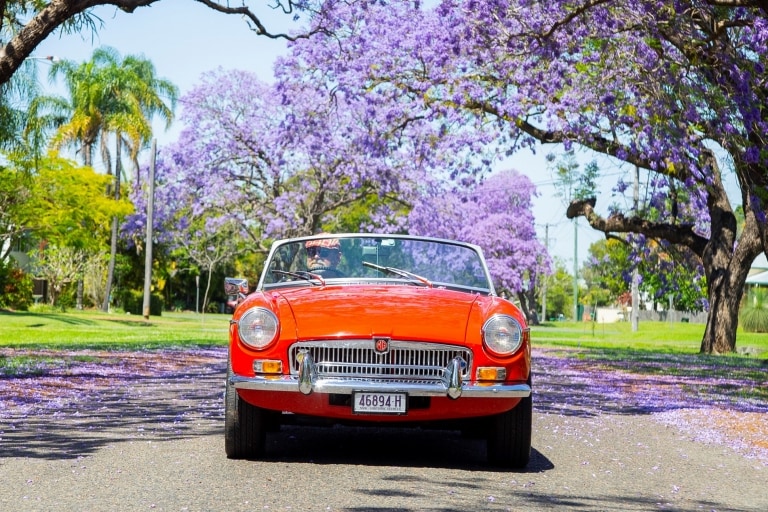 Roter Oldtimer, der eine Straße mit blühenden Jacarandas entlangfährt © Destination NSW