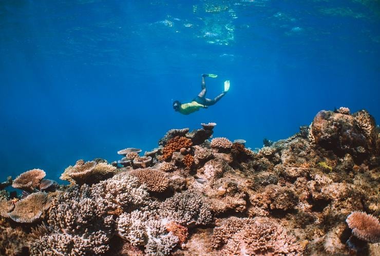 Ocean Safari, Mackay Reef, Queensland © Tourism Australia