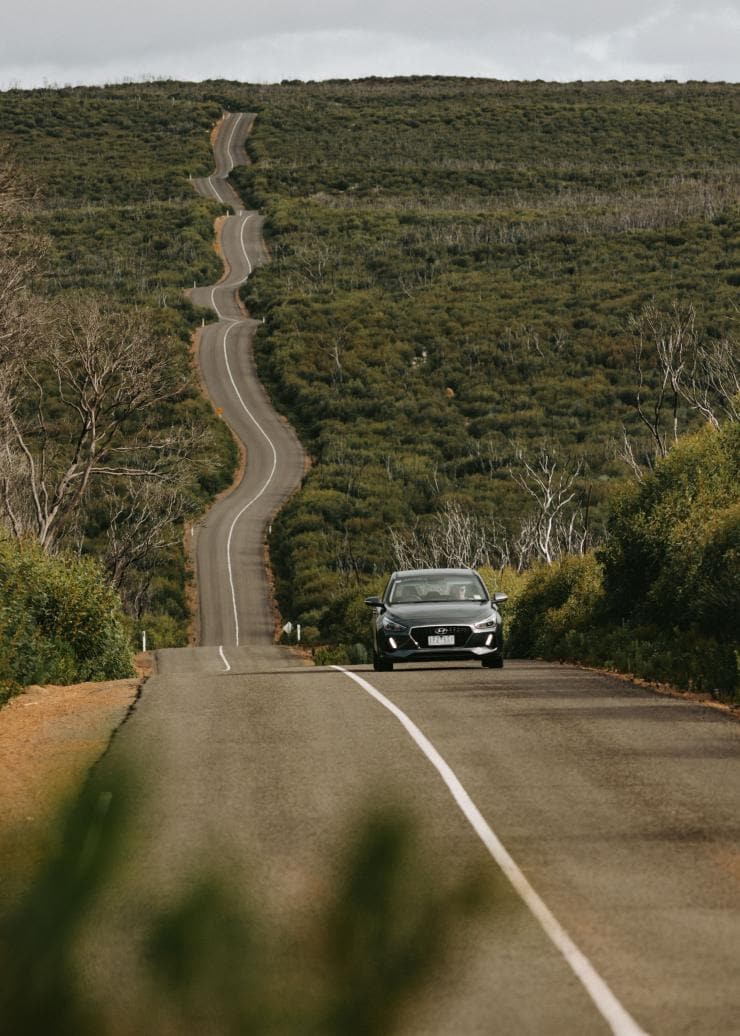 A car driving along a road woven through bushland in Flinders Chase National Park, Kangaroo Island, South Australia © Kangaroo Island Tourism Alliance