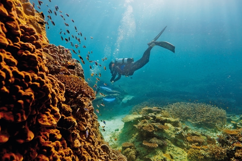 Travel guide to the Great Barrier Reef - Tourism Australia