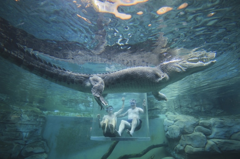 Crocosaurus Cove, Darwin, Northern Territory © Tourism Australia