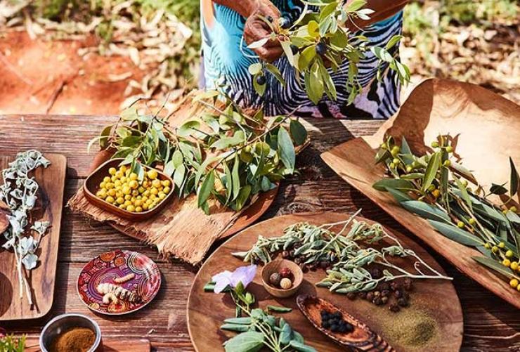  A table filled with native foods and leaves during a tour with Bush Tucker Journeys, Ayers Rock Resort, Northern Territory © Ayers Rock Resort