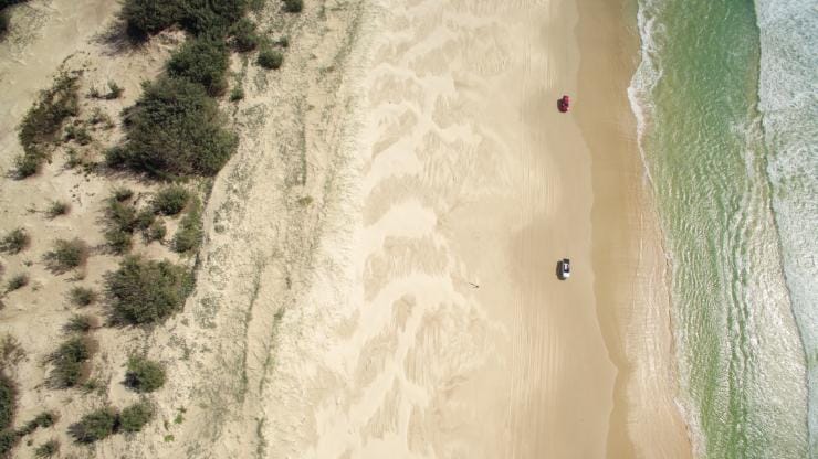 Fraser Island Rainforest, QLD © Tourism and Events Queensland