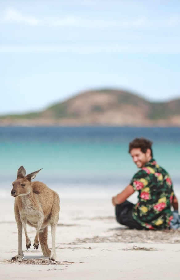 A couple admiring a kangaroo on the beach at Lucky Bay, Cape Le Grand National Park, Western Australia © Tourism Australia