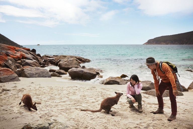 Freycinet Experience Walk, Freycinet National Park, Tasmania © Tourism Australia