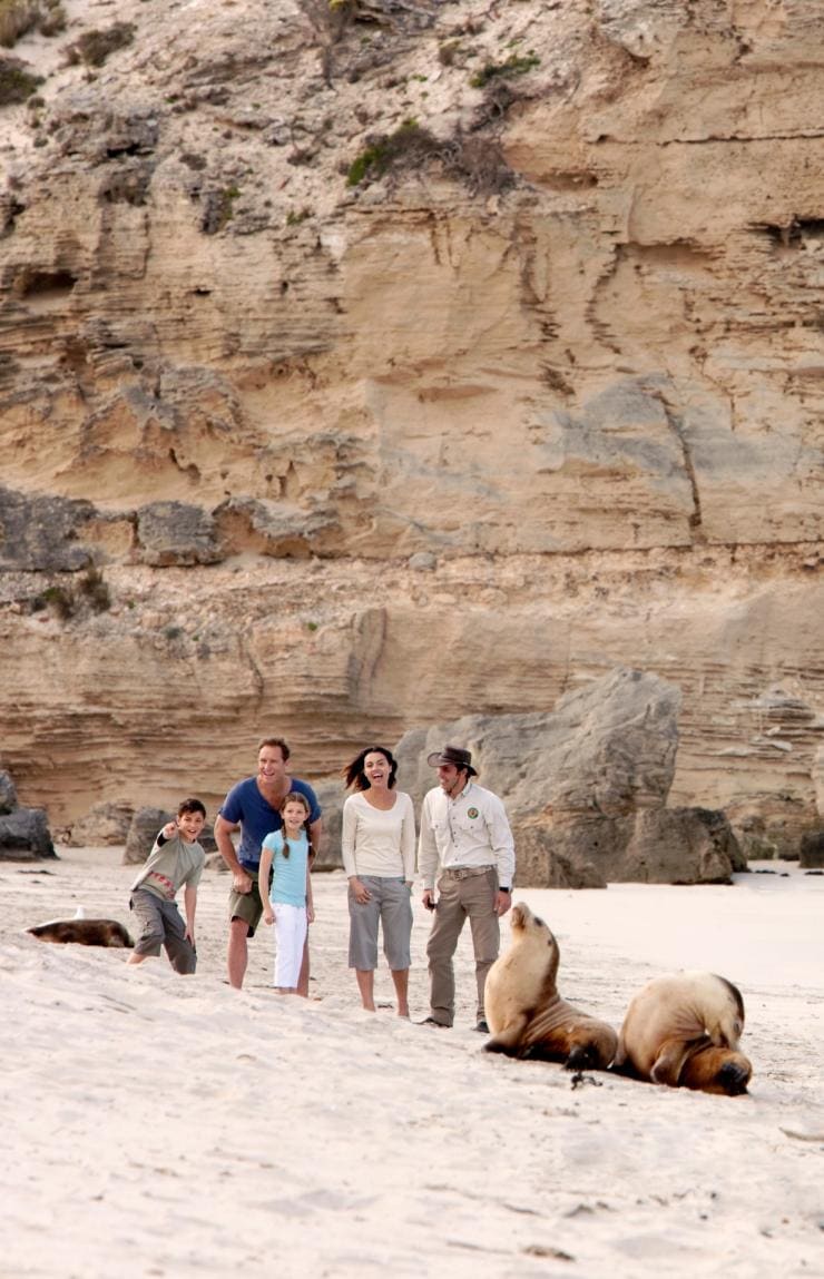 Seal Bay, Kangaroo Island, SA © Tourism Australia