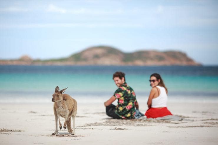 A couple admiring a kangaroo on the beach at Lucky Bay, Cape Le Grand National Park, Western Australia © Tourism Australia