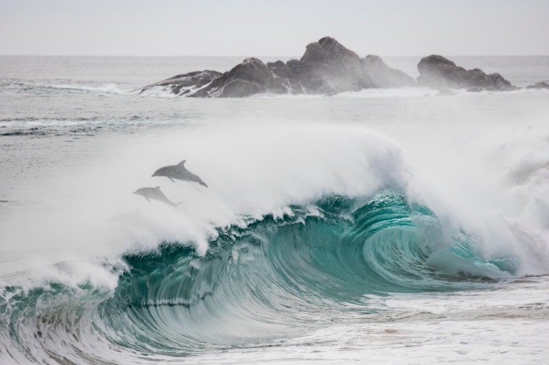 Cape Naturaliste, near Dunsborough, WA © Tourism Western Australia