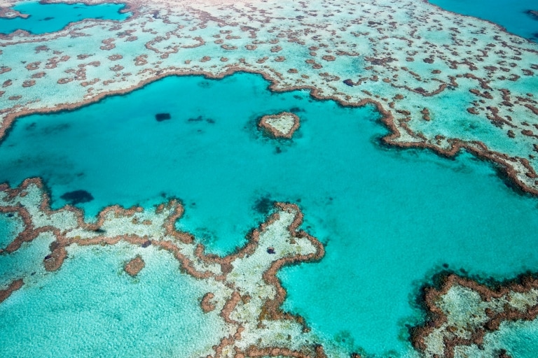 Heart Reef, Great Barrier Reef, QLD © Tourism Australia