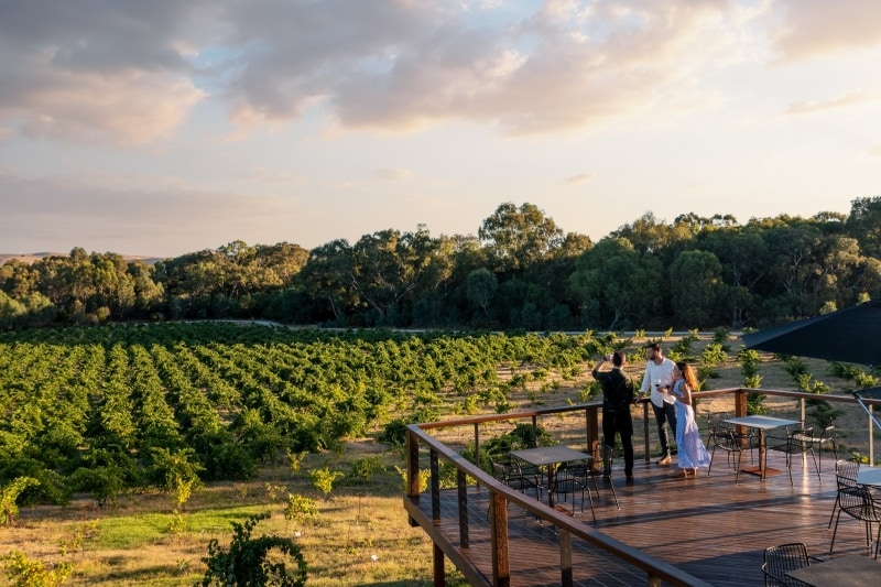 St Hugo Wines, Barossa Valley, SA © Tourism Australia