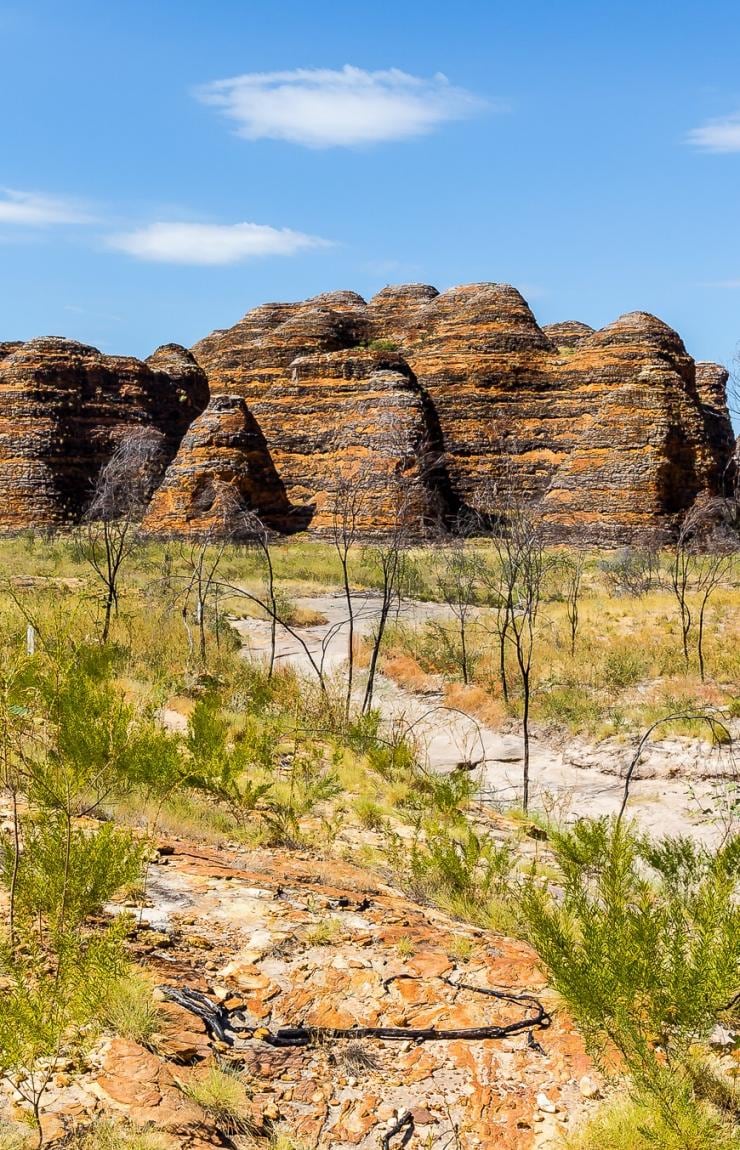 The Bungle Bungle Range, Purnululu National Park, WA. © Jewels Lynch Photography, Tourism Western Australia 