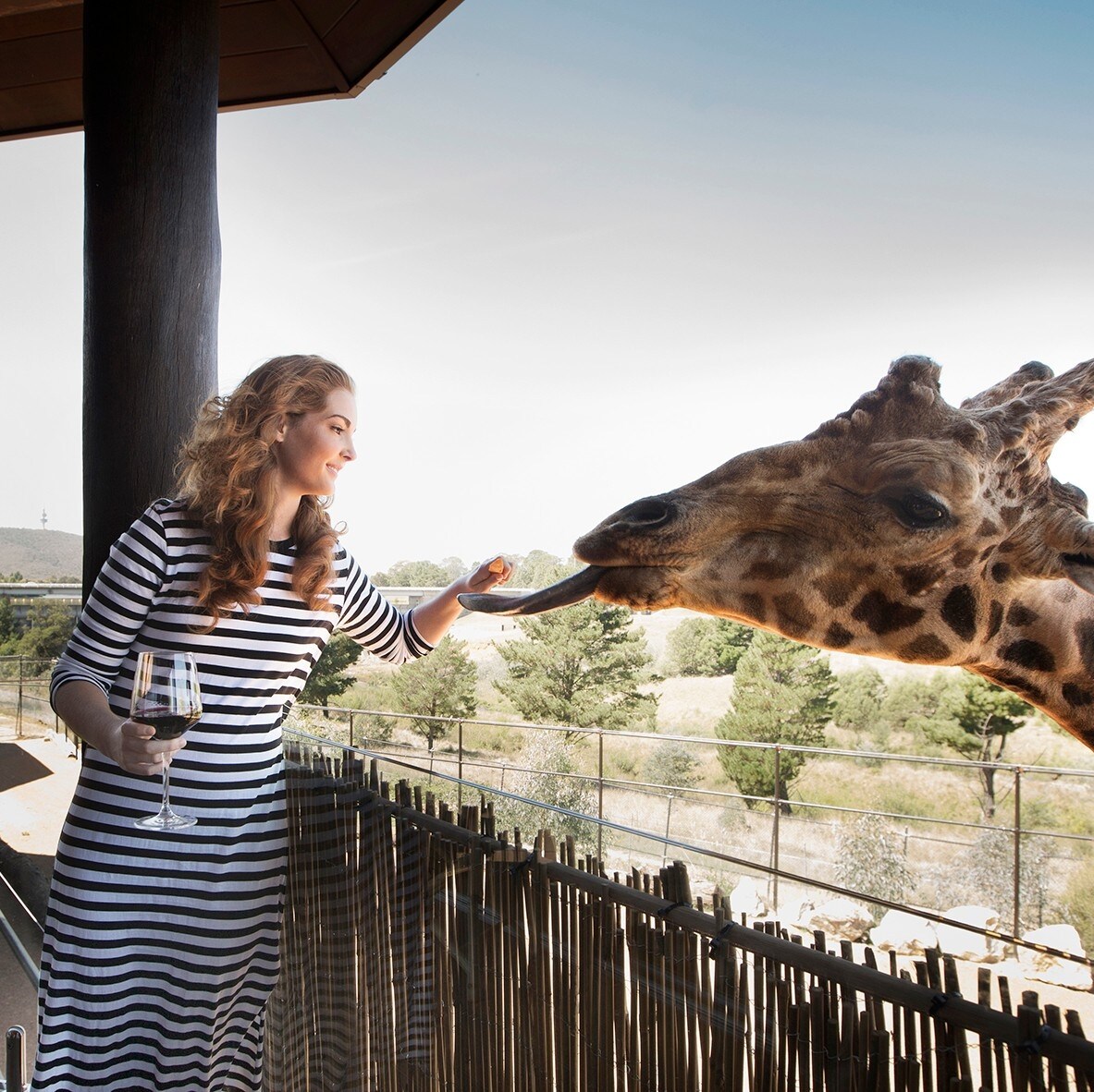 Jamala Wildlife Lodge, Canberra, ACT © VisitCanberra