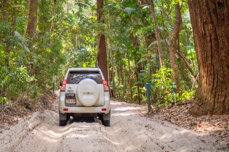 Pile Valley, K’gari, QLD © Tourism Australia