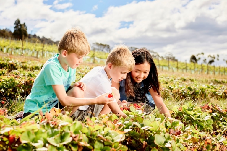 Coal River Farm, Cambridge, Tasmania © Tourism Tasmania