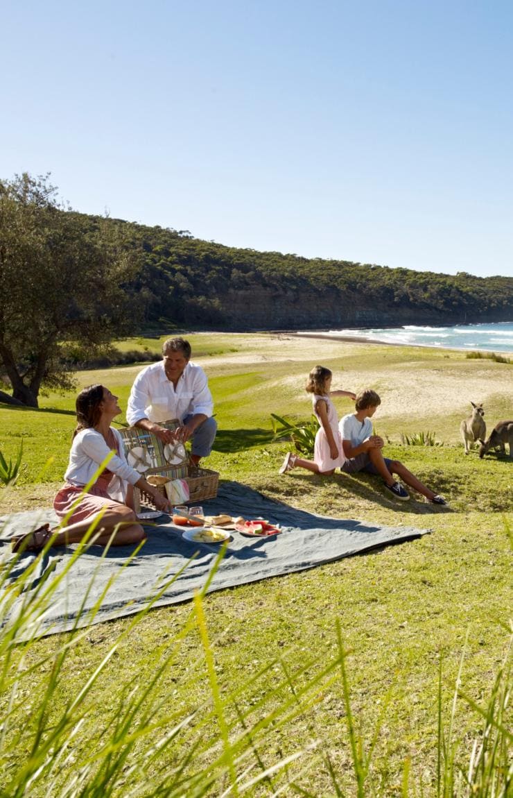 Pebbly Beach, South Coast, NSW © Tourism Australia 