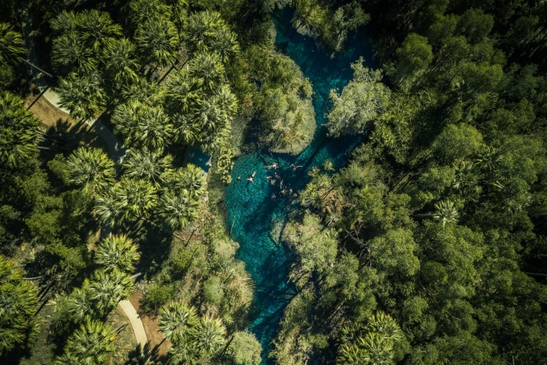 Aerial view of a group swimming in the sparkling blue water of Bitter Springs beside a canopy of palms, Mataranka, Northern Territory © Tourism NT/Jason Charles Hill