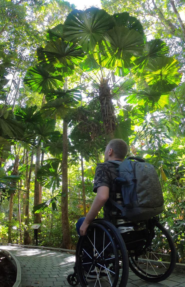 Man in a wheelchair looking up at the canopy of the Daintree Rainforest in Queensland © Tourism and Events Queensland