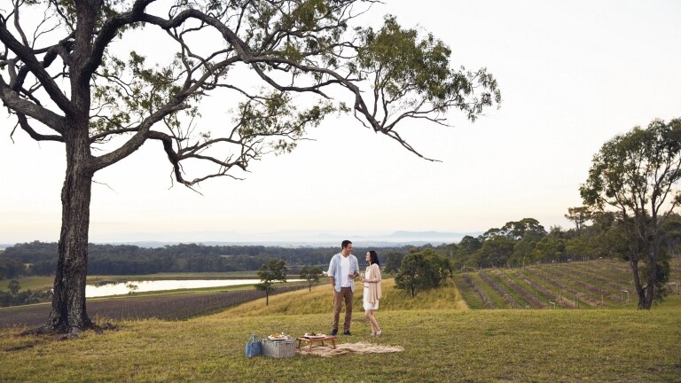 Guide To The Hunter Valley Tourism Australia