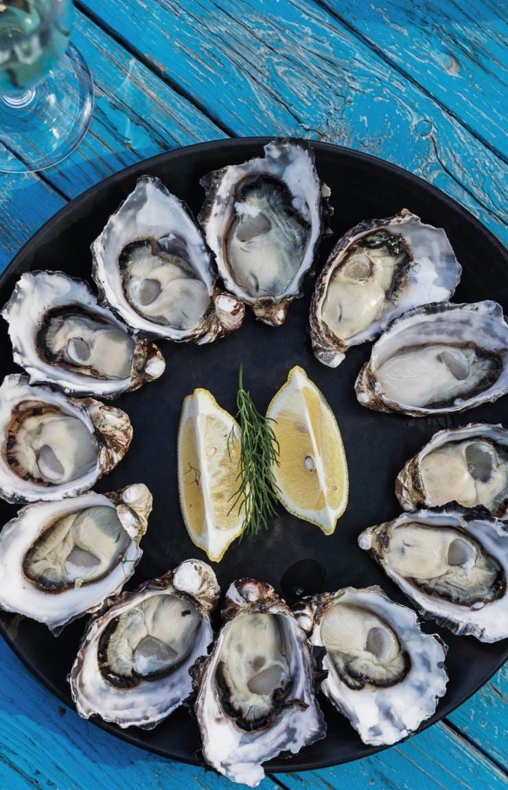Aerial view over a plate of oysters spread out in a circle with lemon wedges in the centre on a blue table with Get Shucked, Bruny Island, Tasmania © Adam Gibson/Tourism Tasmania