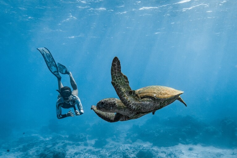 Scuba diver and turtle underwater, Cocos (Keeling) Islands © Cocos Keeling Islands Tourism Association