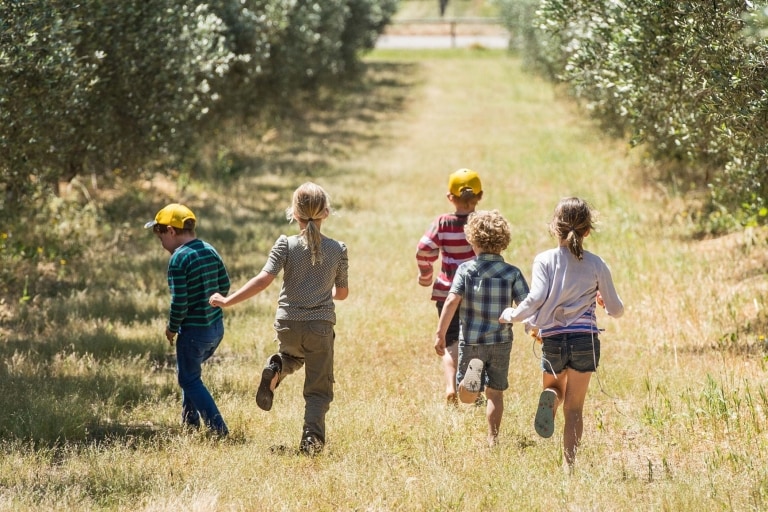 Silverdale Olive Orchard, Coral Coast, Australie Occidentale © Australia's Coral Coast