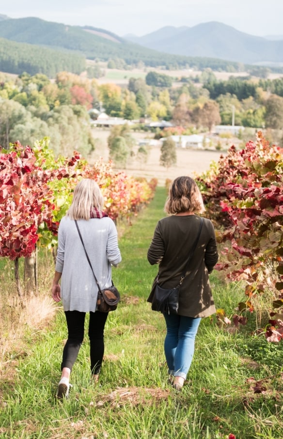 Ringer Reef Winery, Bright, VIC © Visitez Victoria