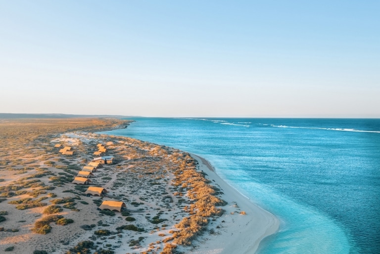 Vue aérienne des hébergements de luxe de Sal Salis nichés sur les dunes de sable longeant la côte et les eaux bleu vif du Ningaloo Reef, Australie Occidentale © Sal Salis Ningaloo Reef