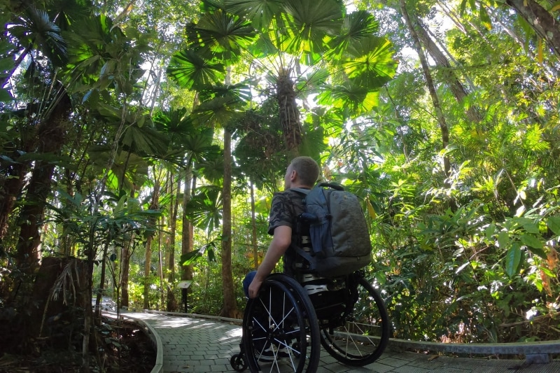 Man in a wheelchair looking up at the canopy of the Daintree Rainforest in Queensland © Tourism and Events Queensland