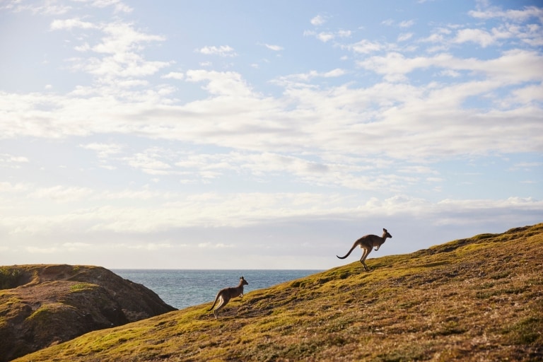 Emerald Beach, Coffs Harbour, New South Wales © Destination NSW 