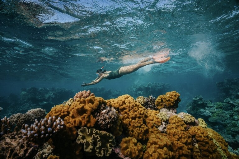 Dreamtime Dive and Snorkel, Cairns, Queensland © Tourism Australia