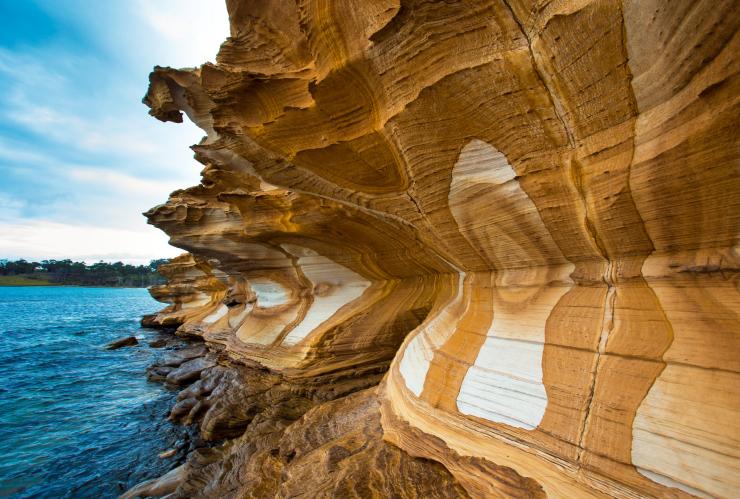 Lungo Maria Island Walk si possono ammirare le rocce millenarie di Painted Cliffs © Maria Island Walk / Great Walks of Australia