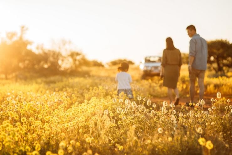 西オーストラリア州、コーラル・コースト、ワイルドフラワー © Tourism Western Australia 西オーストラリア州、コーラル・コースト、ワイルドフラワー © Tourism Western Australia