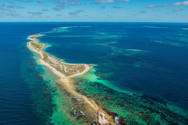 西オーストラリア州、コーラル・コースト、アブロロス諸島、ビーチにいるオットセイ © Australia's Coral Coast 西オーストラリア州、コーラル・コースト、アブロロス諸島、ビーチにいるオットセイ © Australia's Coral Coast