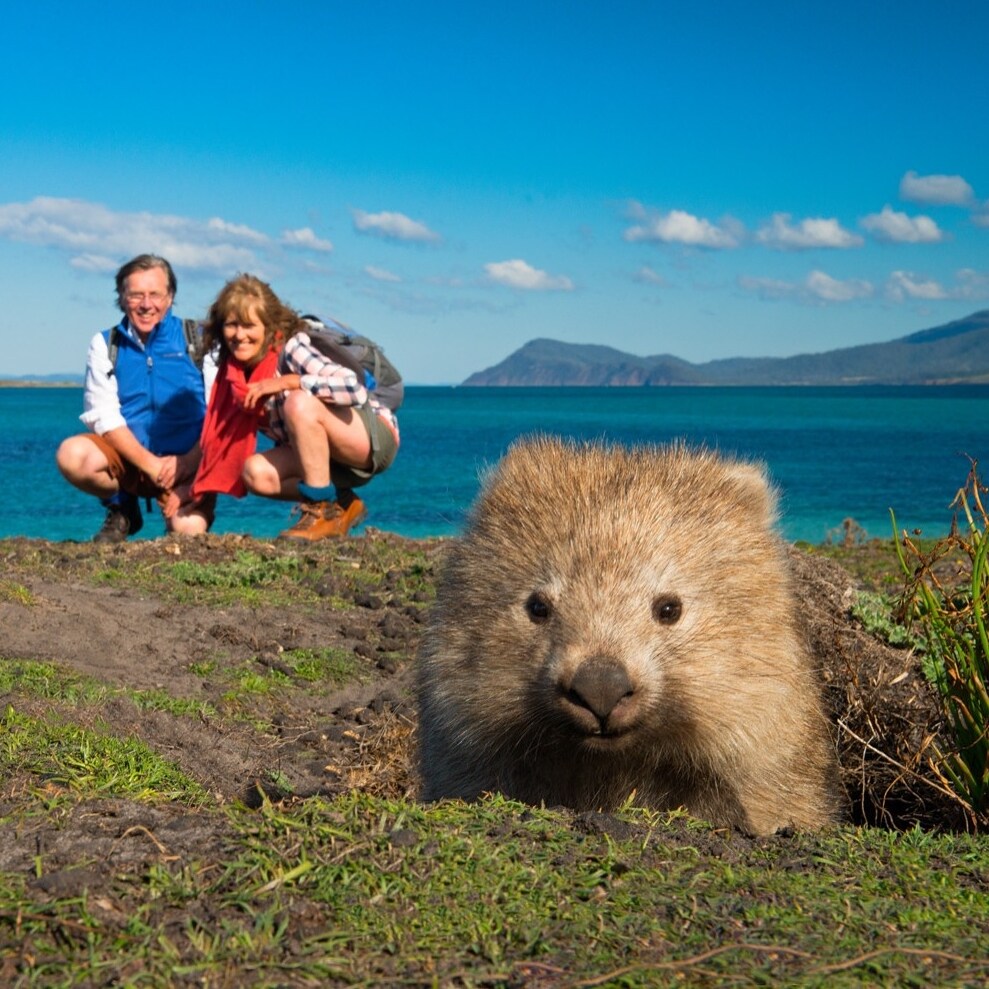 オーストラリアの夏の動物と野生動物の暮らし オーストラリア政府観光局