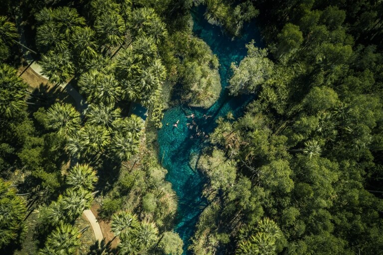ノーザンテリトリー、マタランカ、ヤシの木の下ビター・スプリングスの青くきらめく水面を泳ぐ人々の空撮 © Tourism NT/Jason Charles Hill