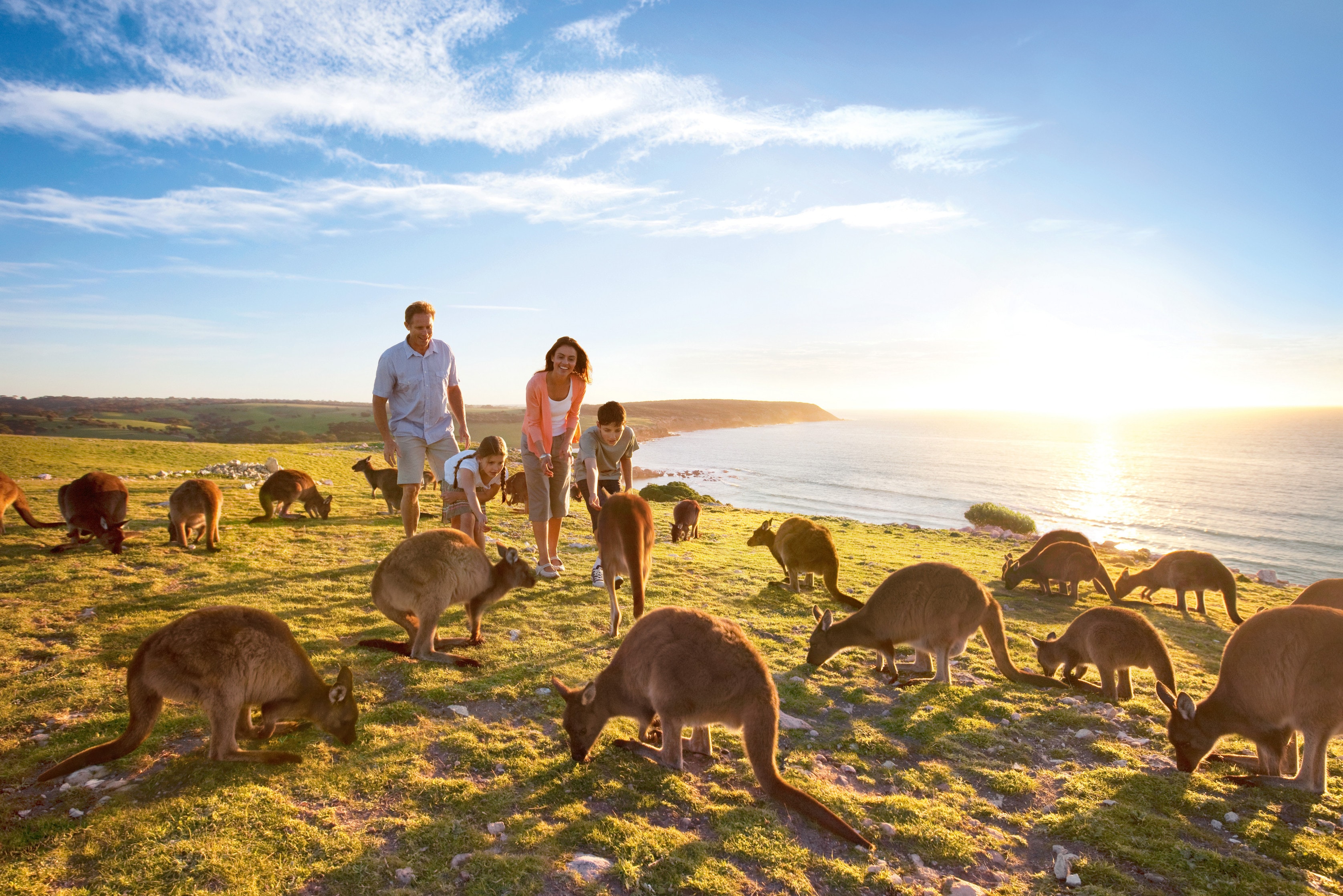 kangaroo island tours for seniors