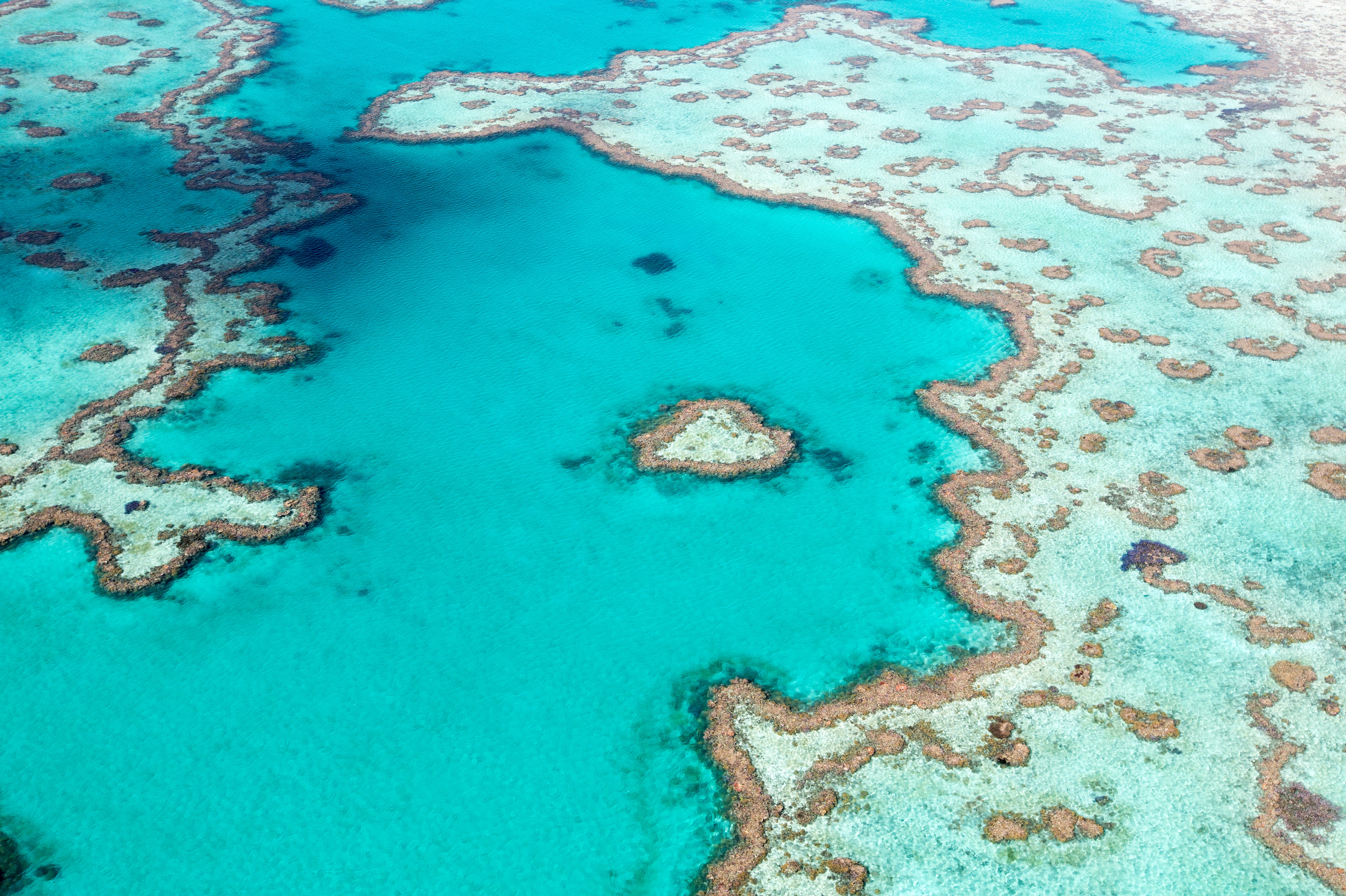 Coral reefs in Australia - Tourism Australia