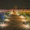 Besucherin geht durch die Kunstinstallation „Field of Light“ © Tourism NT/Mitchell Cox