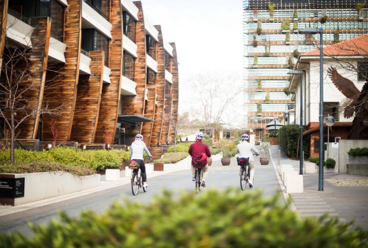 Eine Gruppe von Radfahrern fährt auf einem ruhigen Weg zwischen Gebäuden in NewActon, Canberra, Australian Capital Territory © VisitCanberra