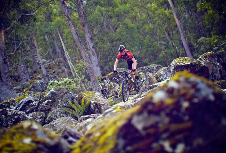 Ein Radfahrer fährt auf einem felsigen Weg, umgeben von einer grünen Landschaft, North-South Track, Mt Wellington/kunanyi, Tasmanien © Tourism Tasmania/Flow Mountain Bike