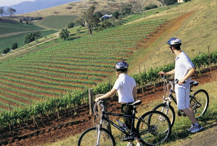 Zwei Personen stehen mit ihren Fahrrädern neben einem üppig grünen Weinberg im Hunter Valley, New South Wales © Destination NSW