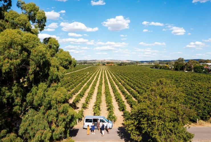 Barossa Taste Sensations, Elderton Wines, Barossa Valley, Südaustralien © Tourism Australia